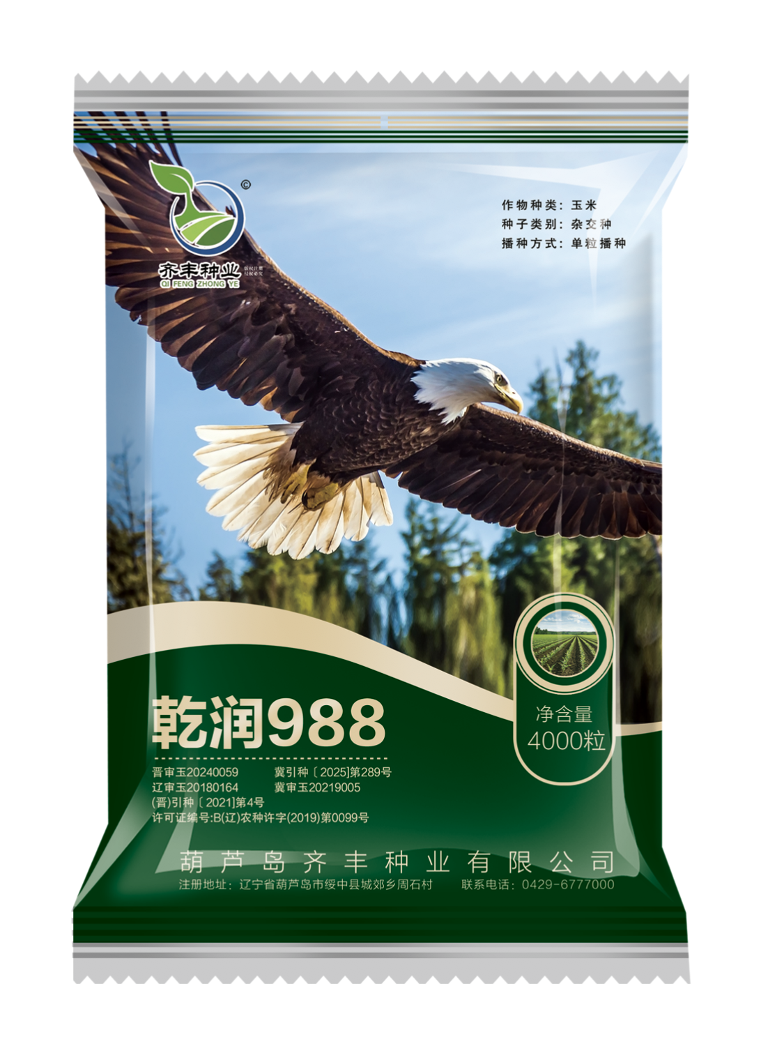 乾润988（夏播）