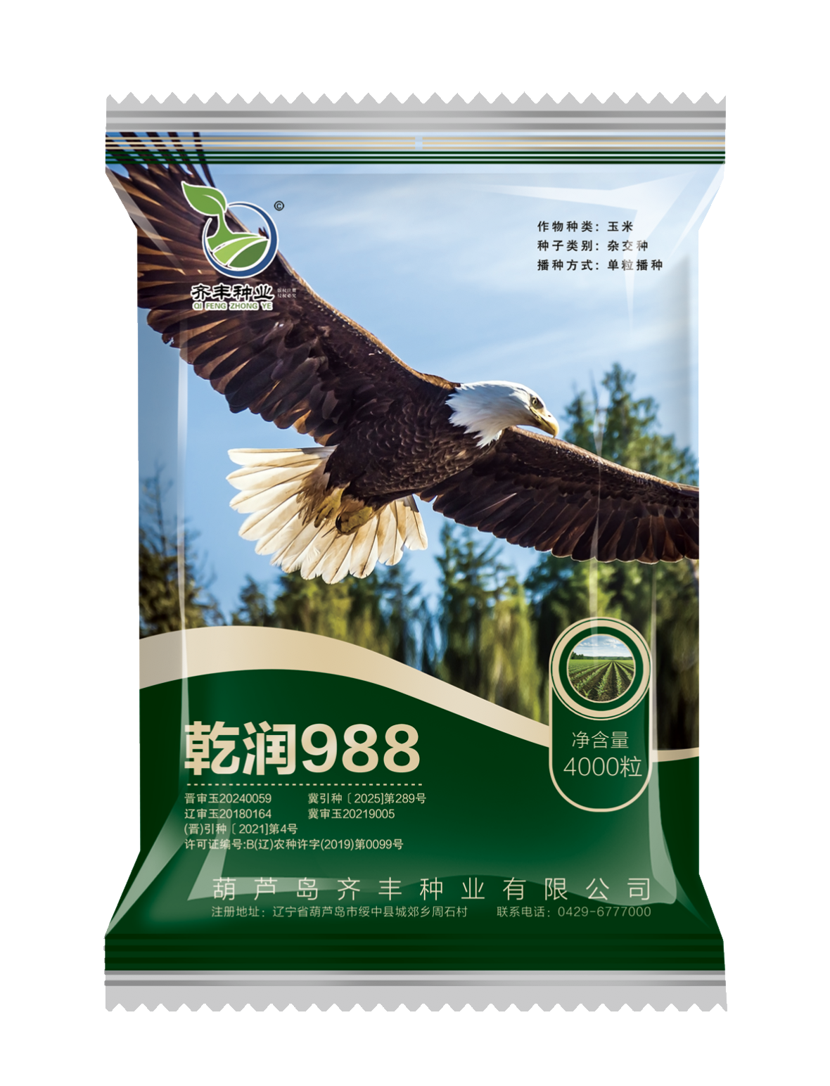 乾润988（夏播）